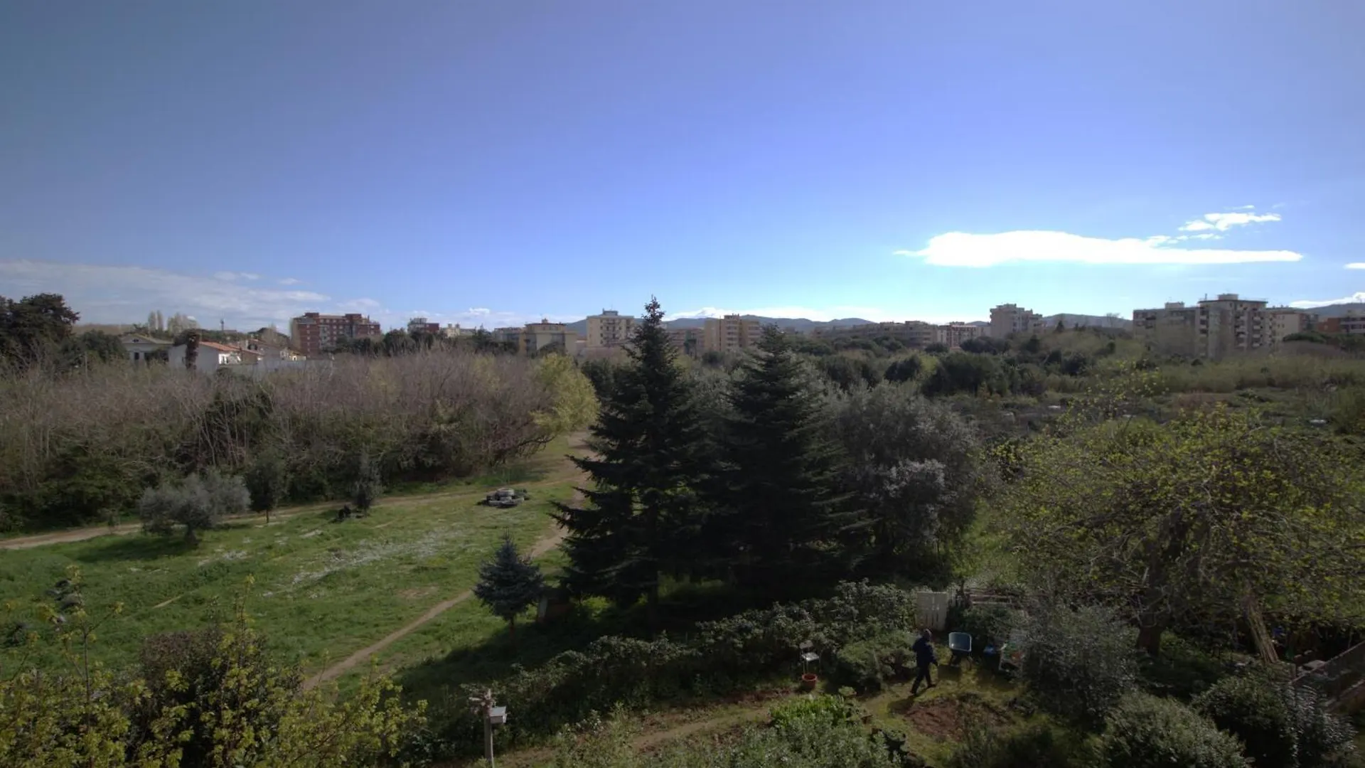 Primaverammare Livorno Apartment